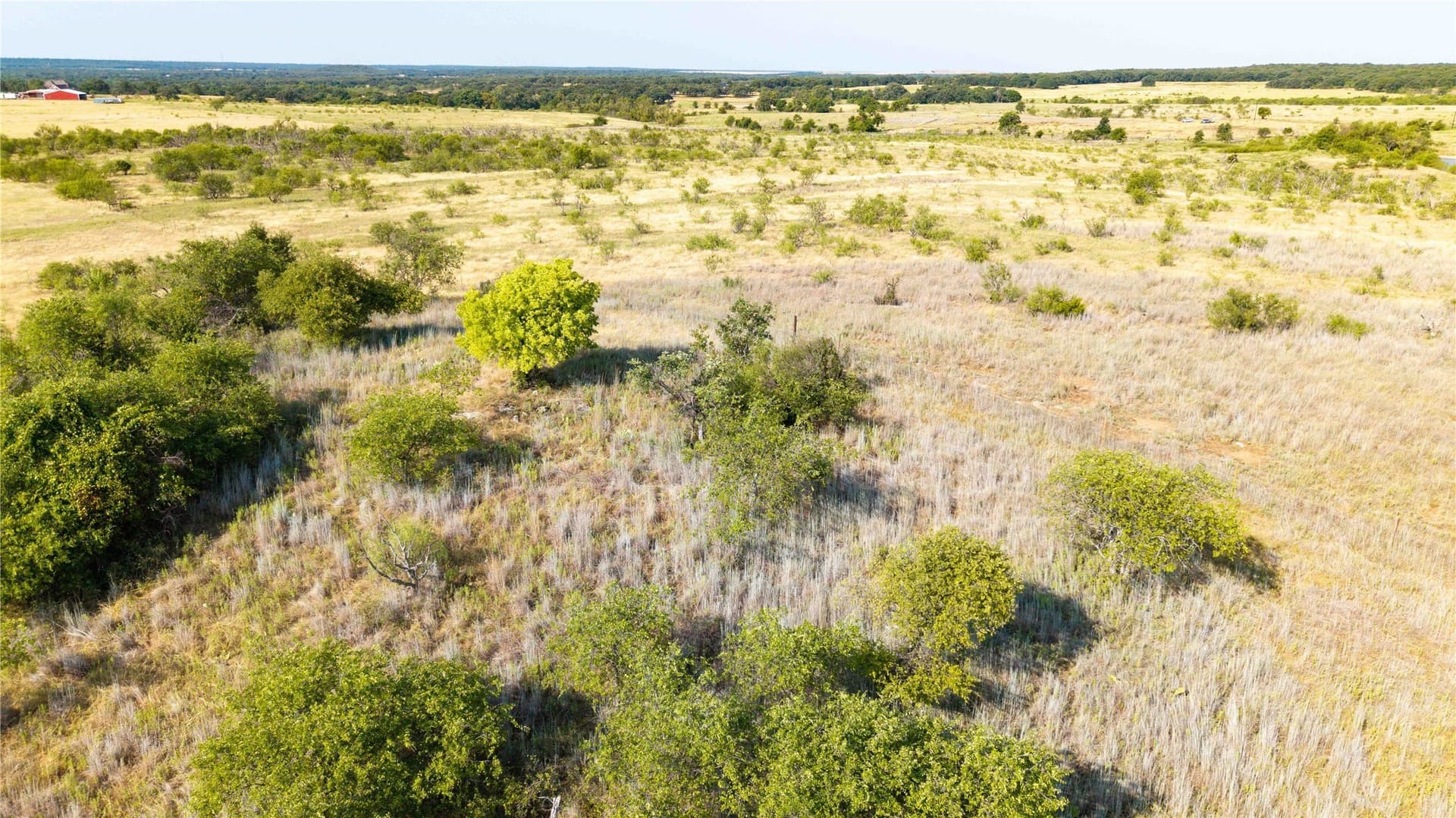 50 acres in Clay County