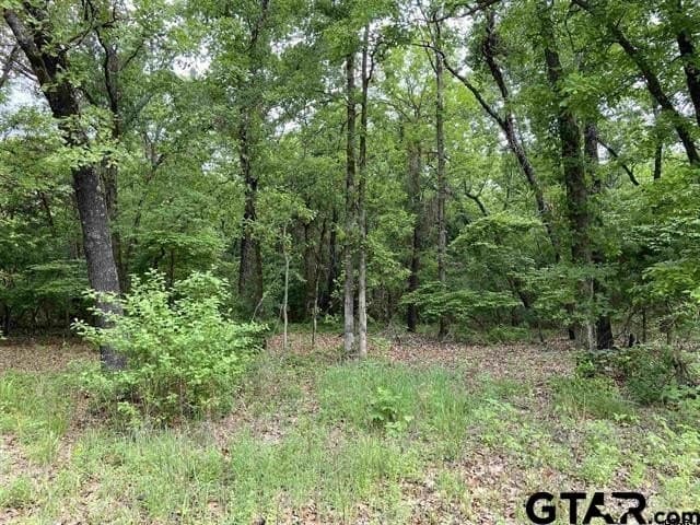 3.22 acres in Smith County
