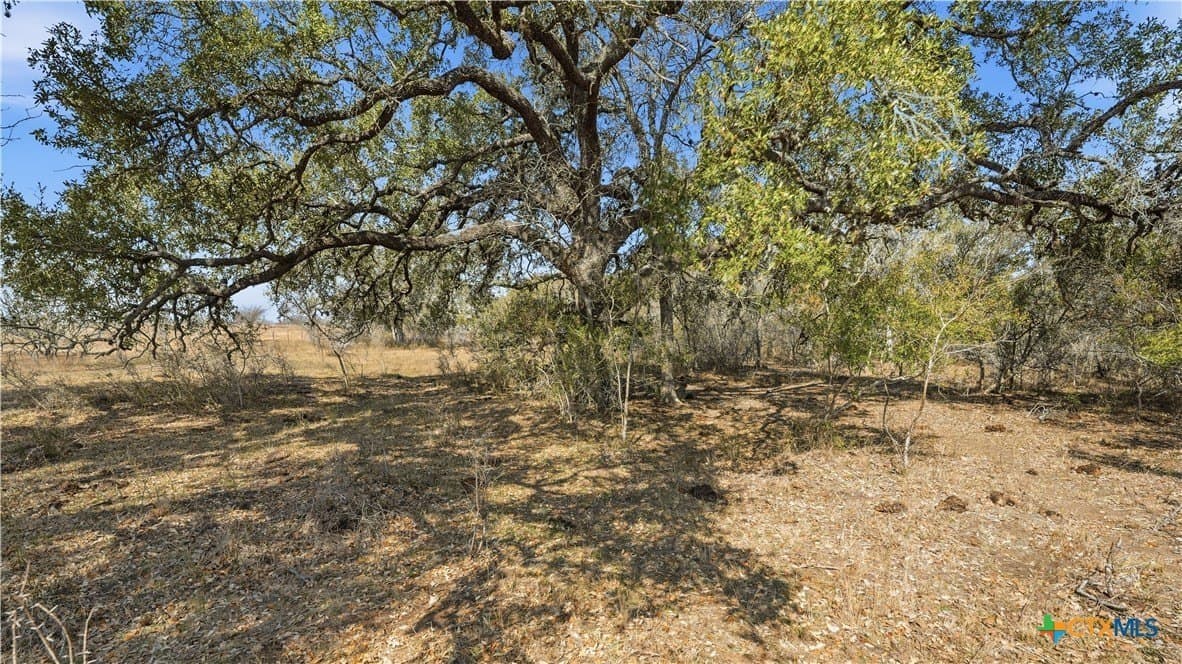 43.67 acres in DeWitt County