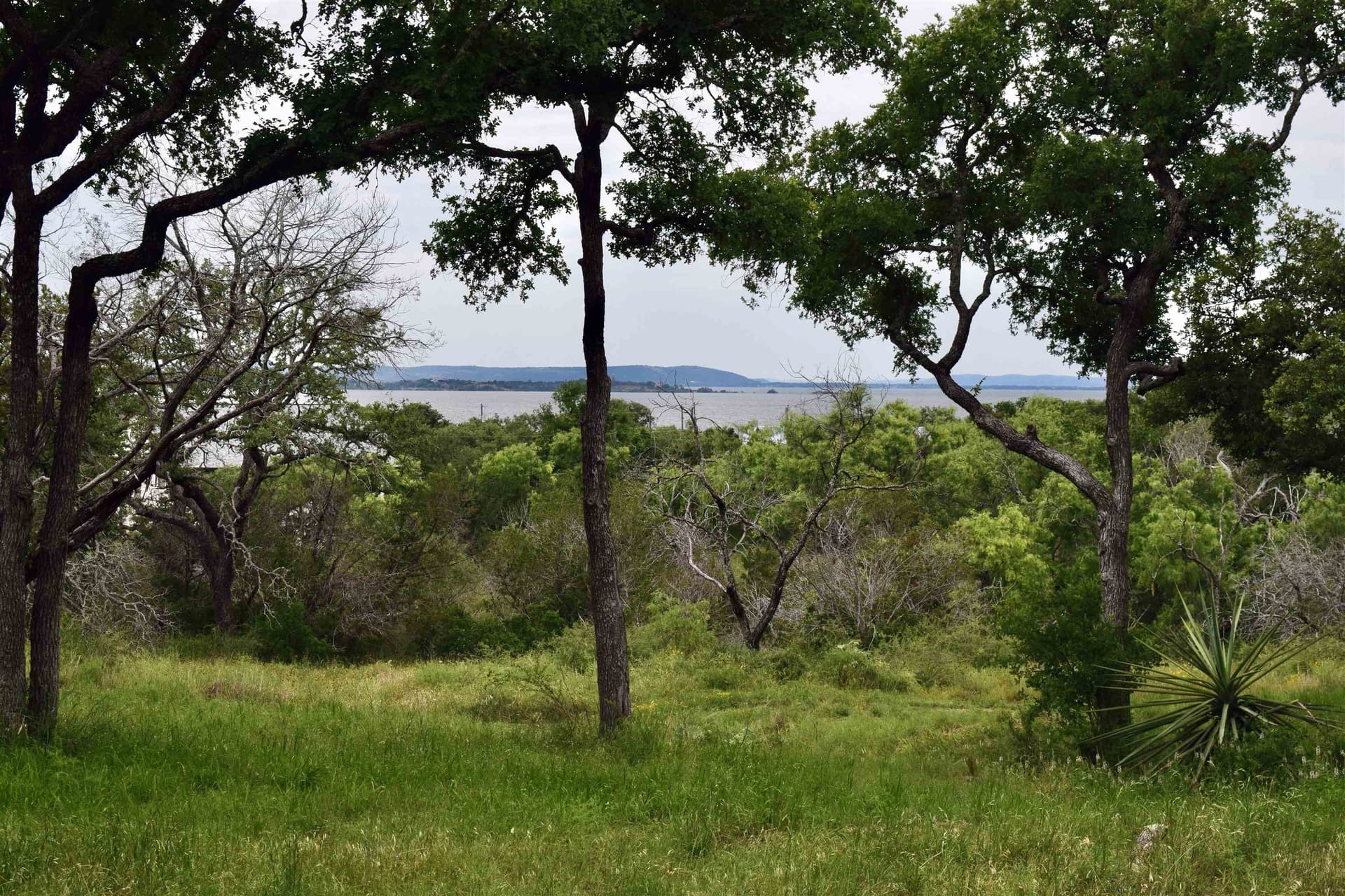 7 acres in Burnet County