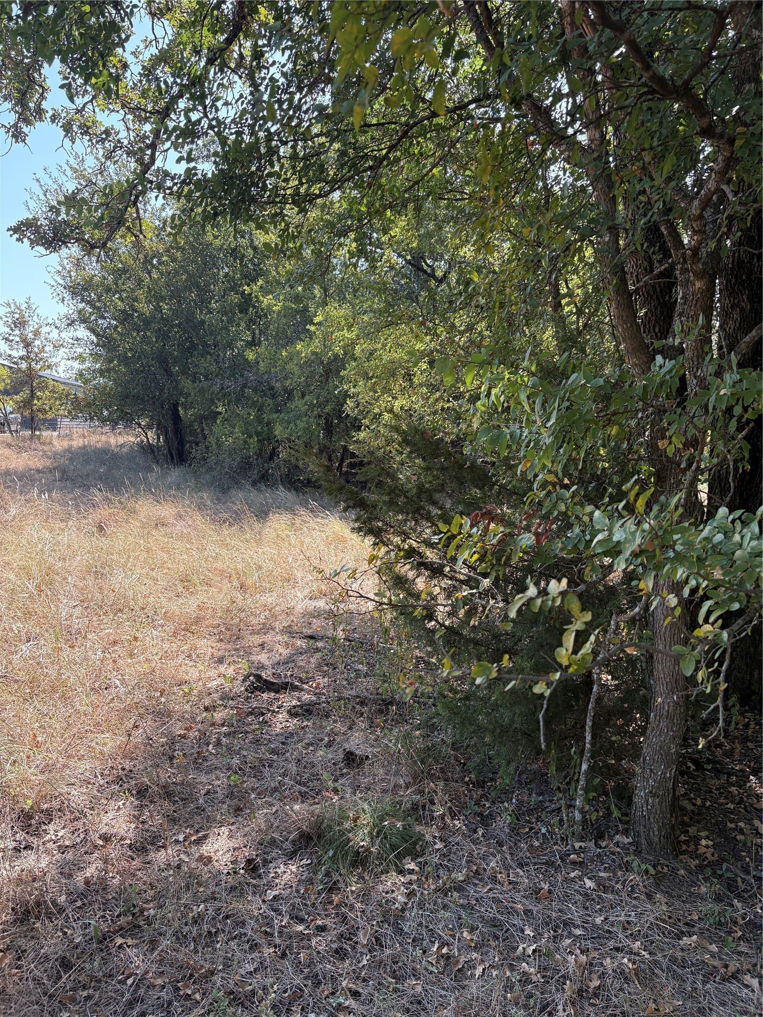 35.56 acres in Parker County