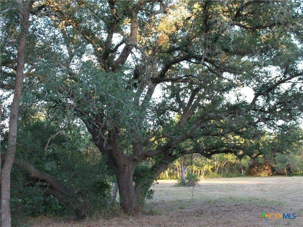 3 acres in Hays County