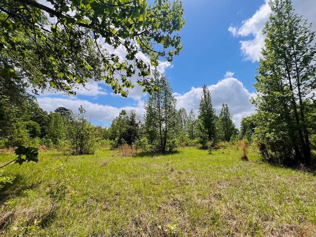 1.14 acres in Texas County