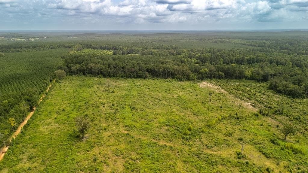 17 acres in Texas County