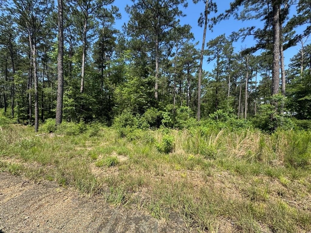 1.03 acres in Texas County