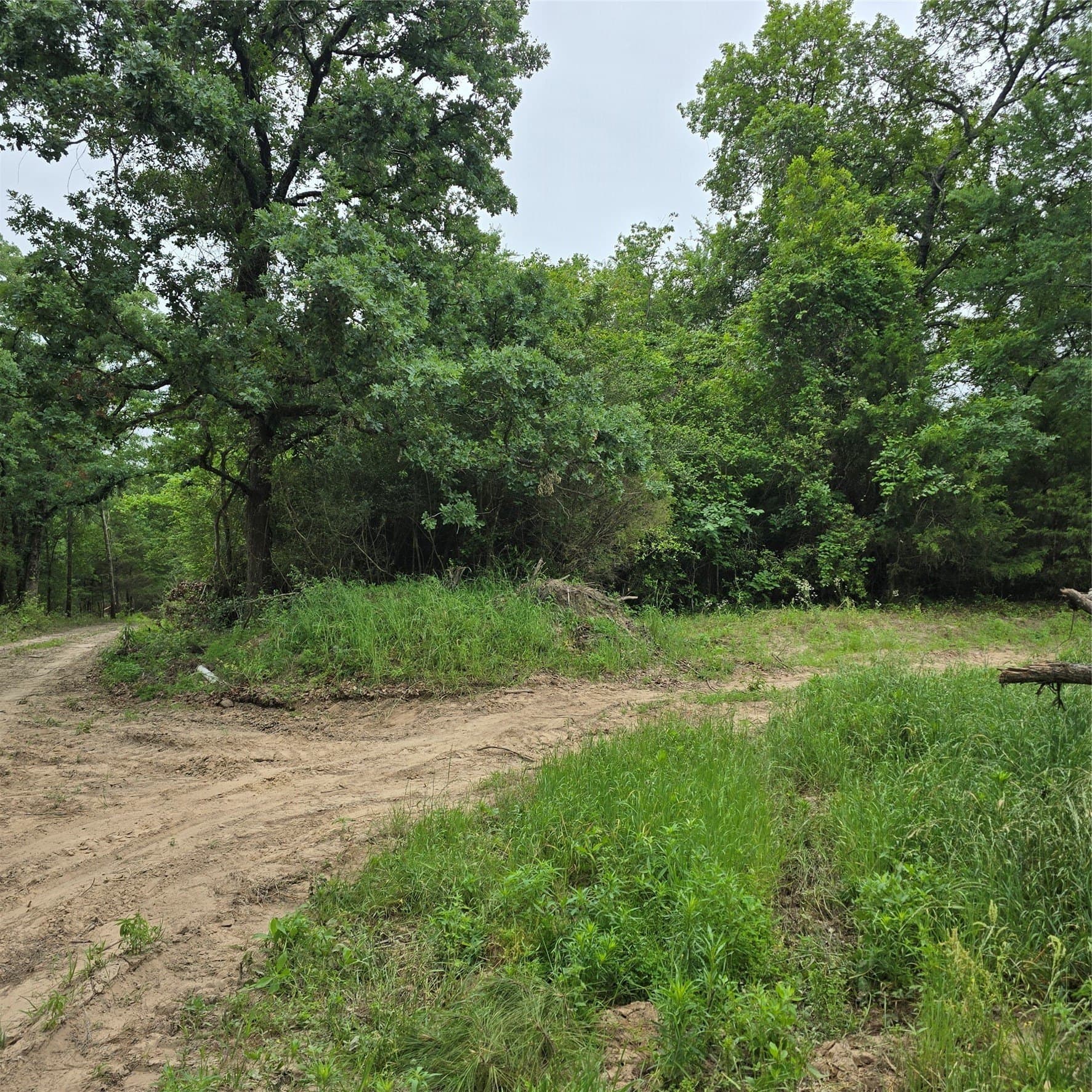 19.93 acres in Henderson County