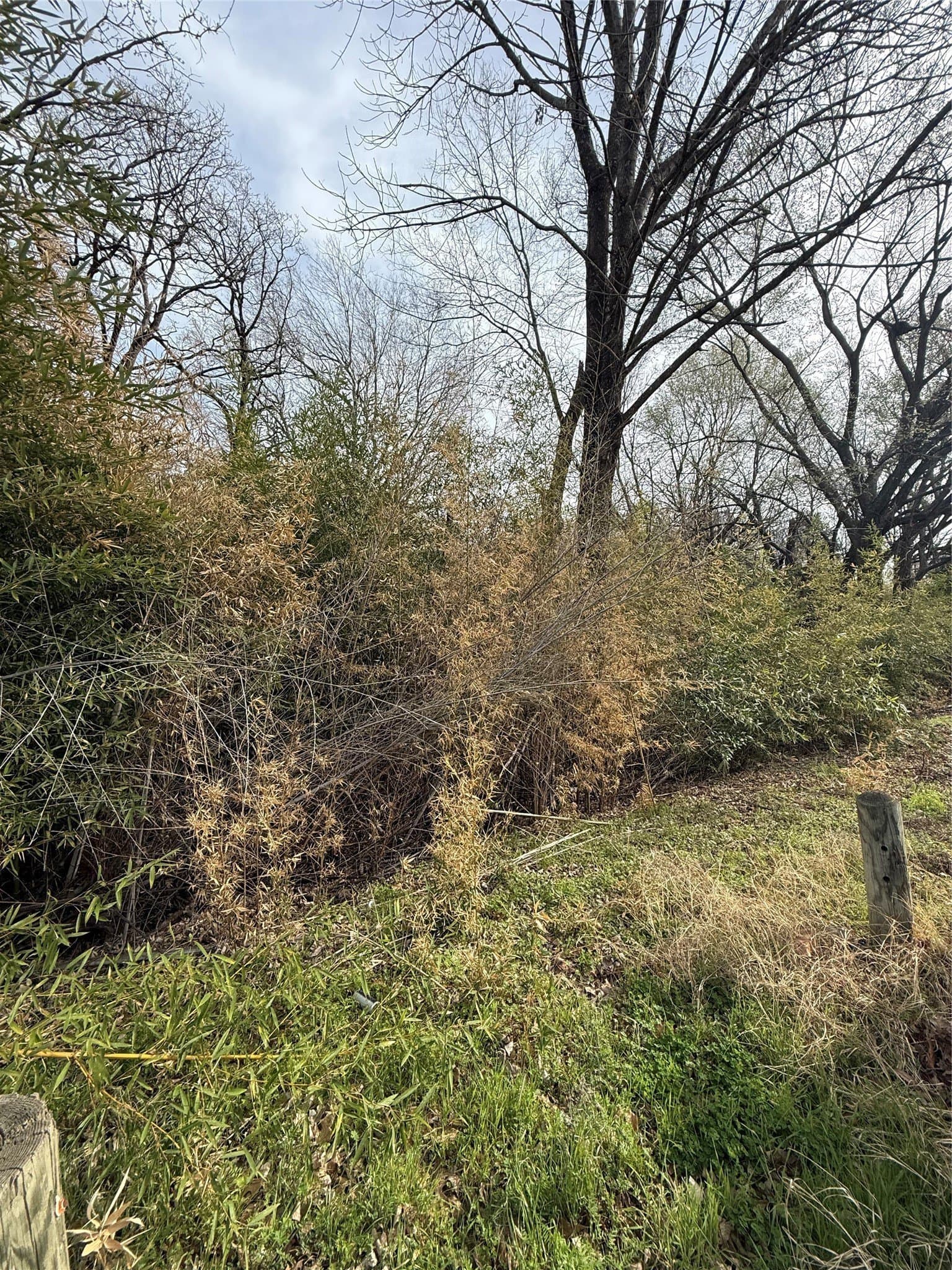 0.81 acres in Henderson County