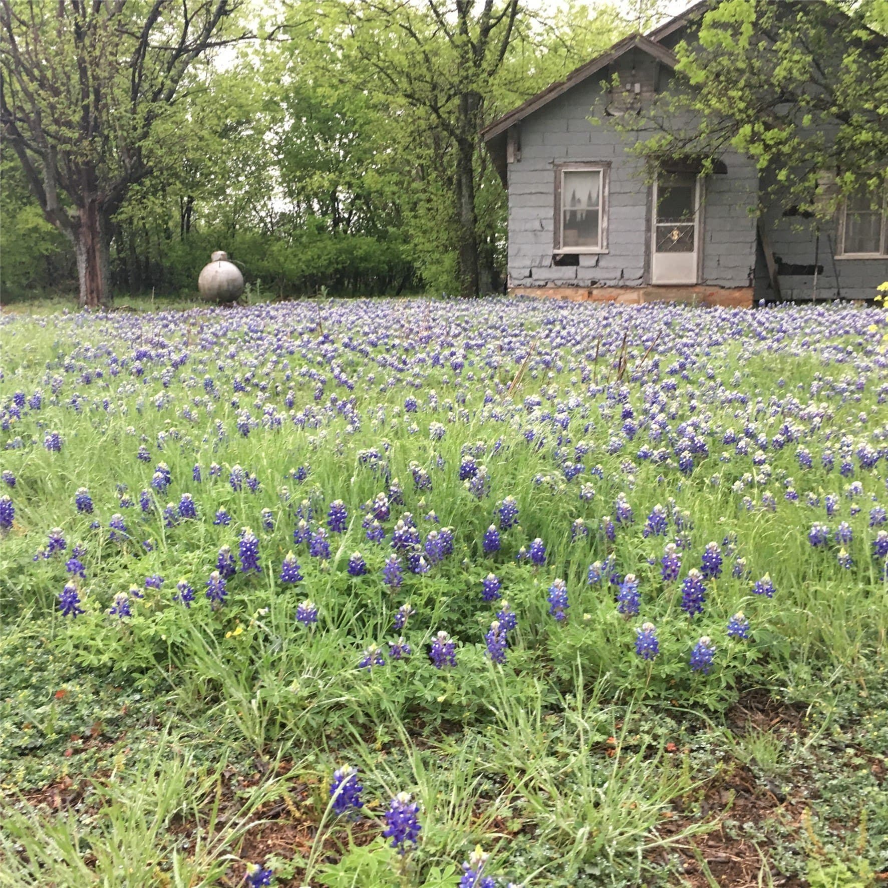 120.38 acres in Bosque County