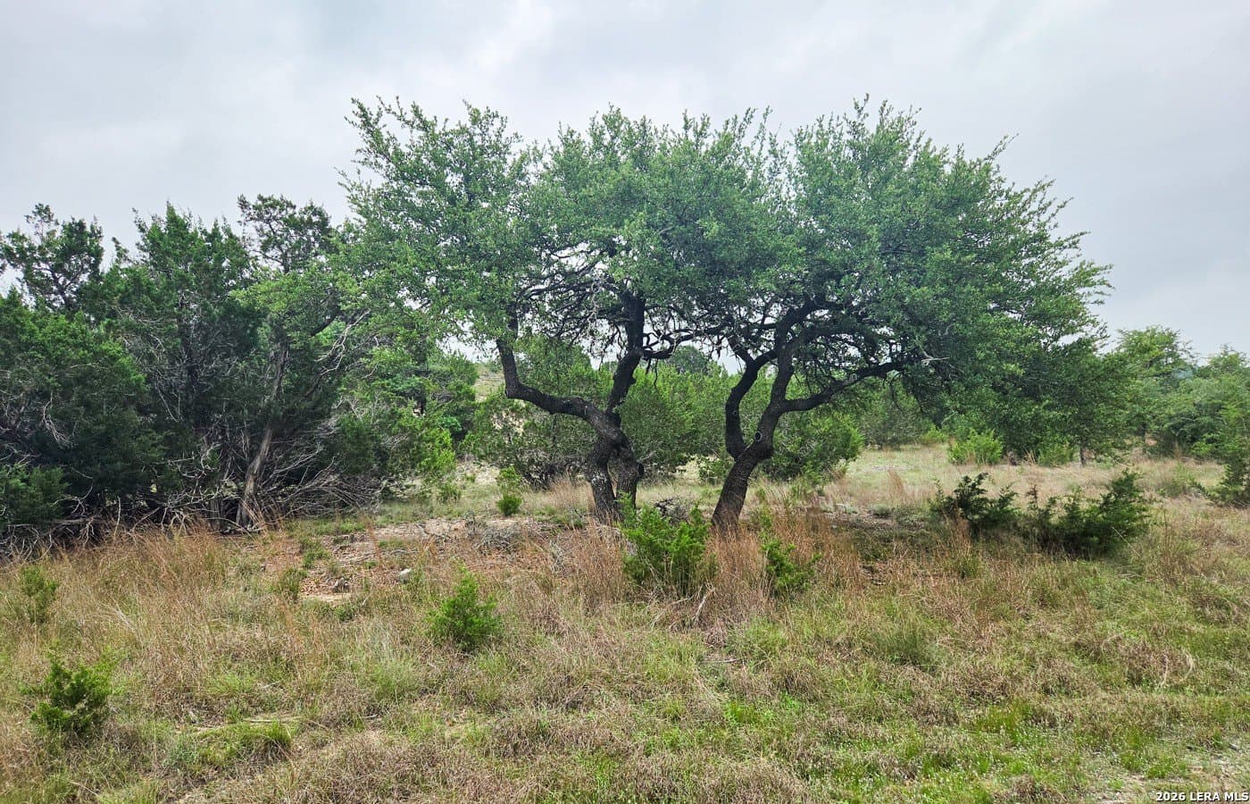 5 acres in Blanco County