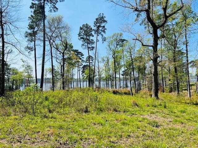 3.65 acres in Texas County