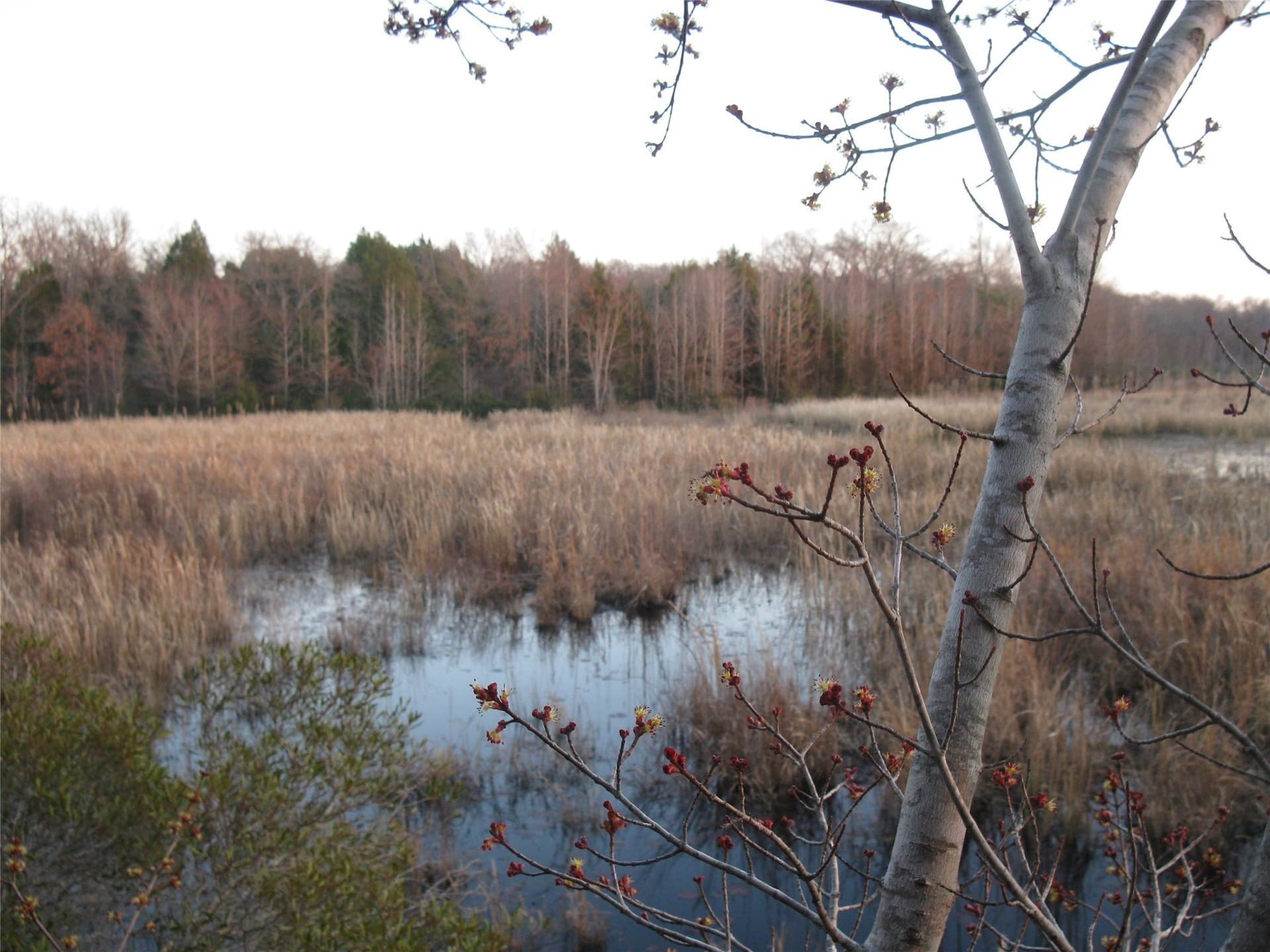 133.21 acres in Van Zandt County