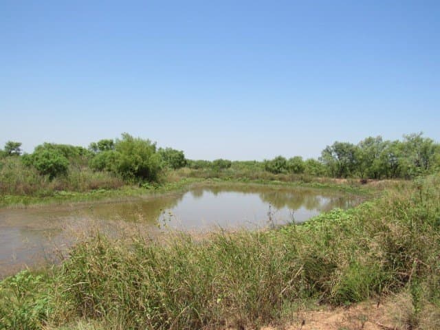 10 acres in Brown County