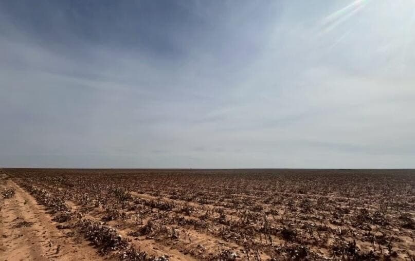10 acres in Terry County