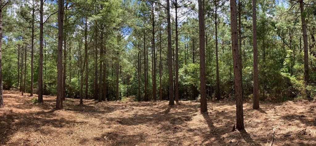18 acres in Texas County