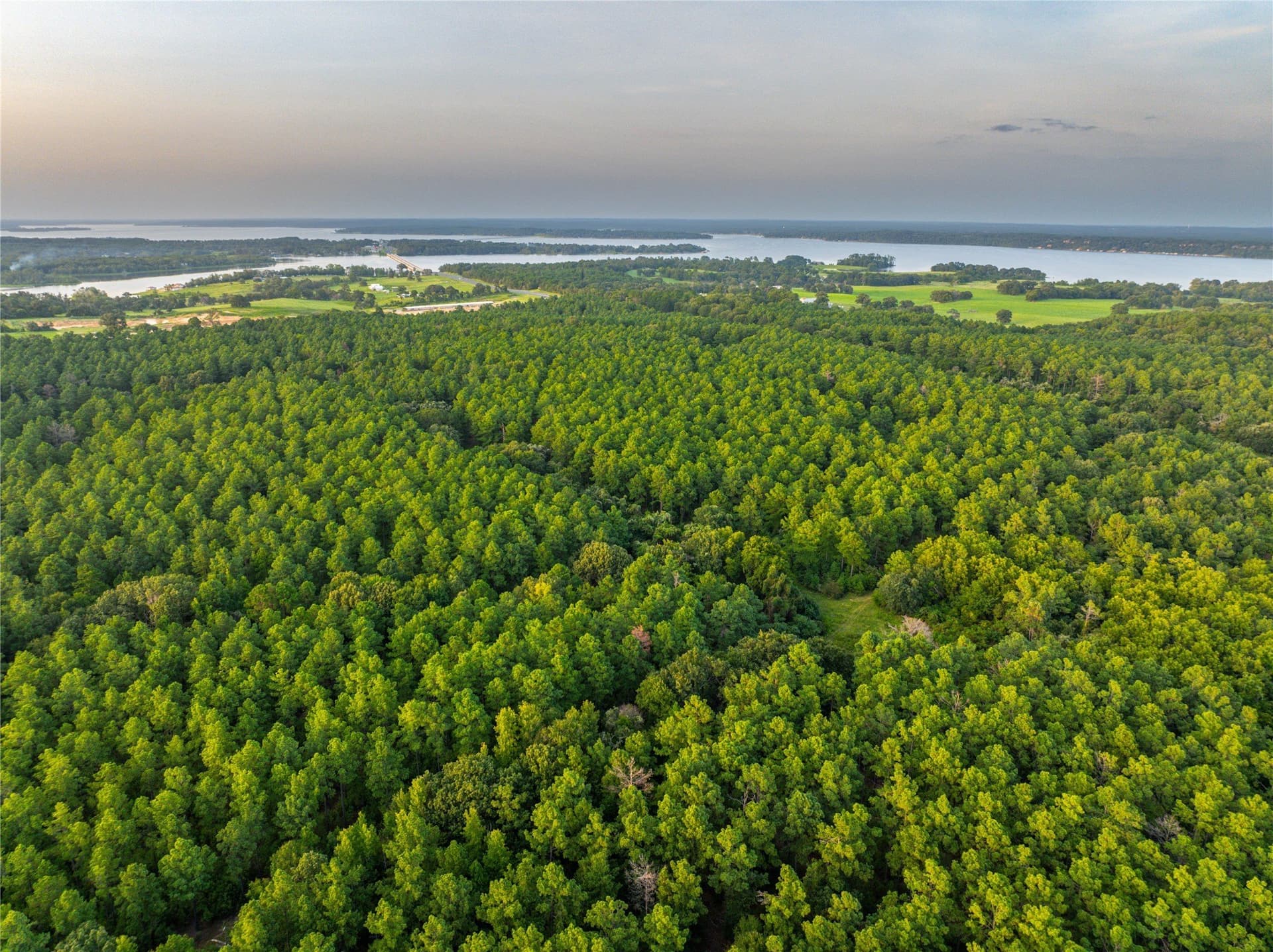 52.5 acres in Henderson County