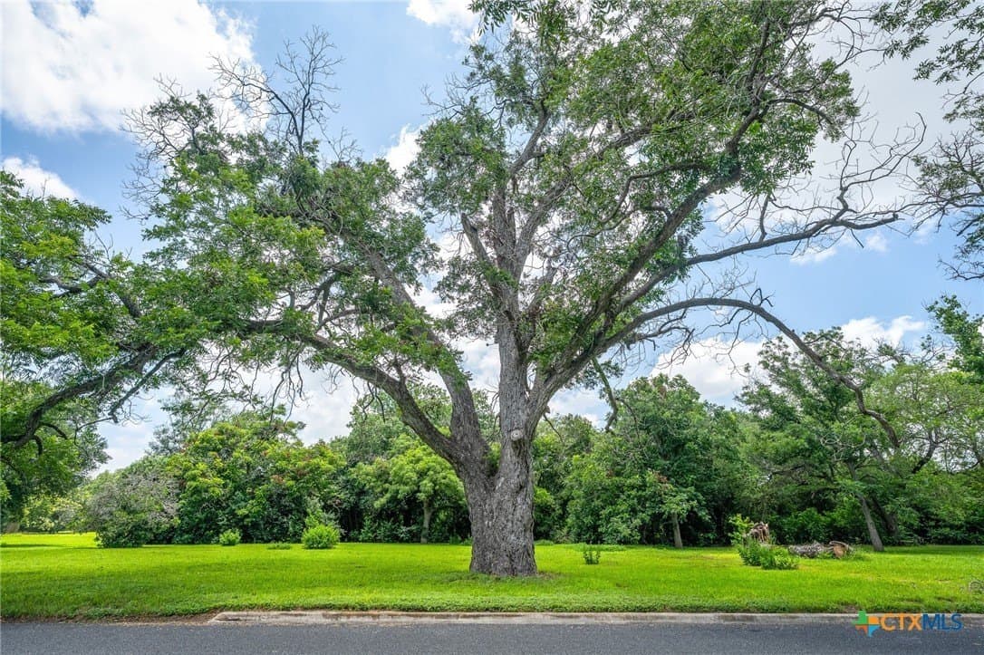0.39 acres in Guadalupe County