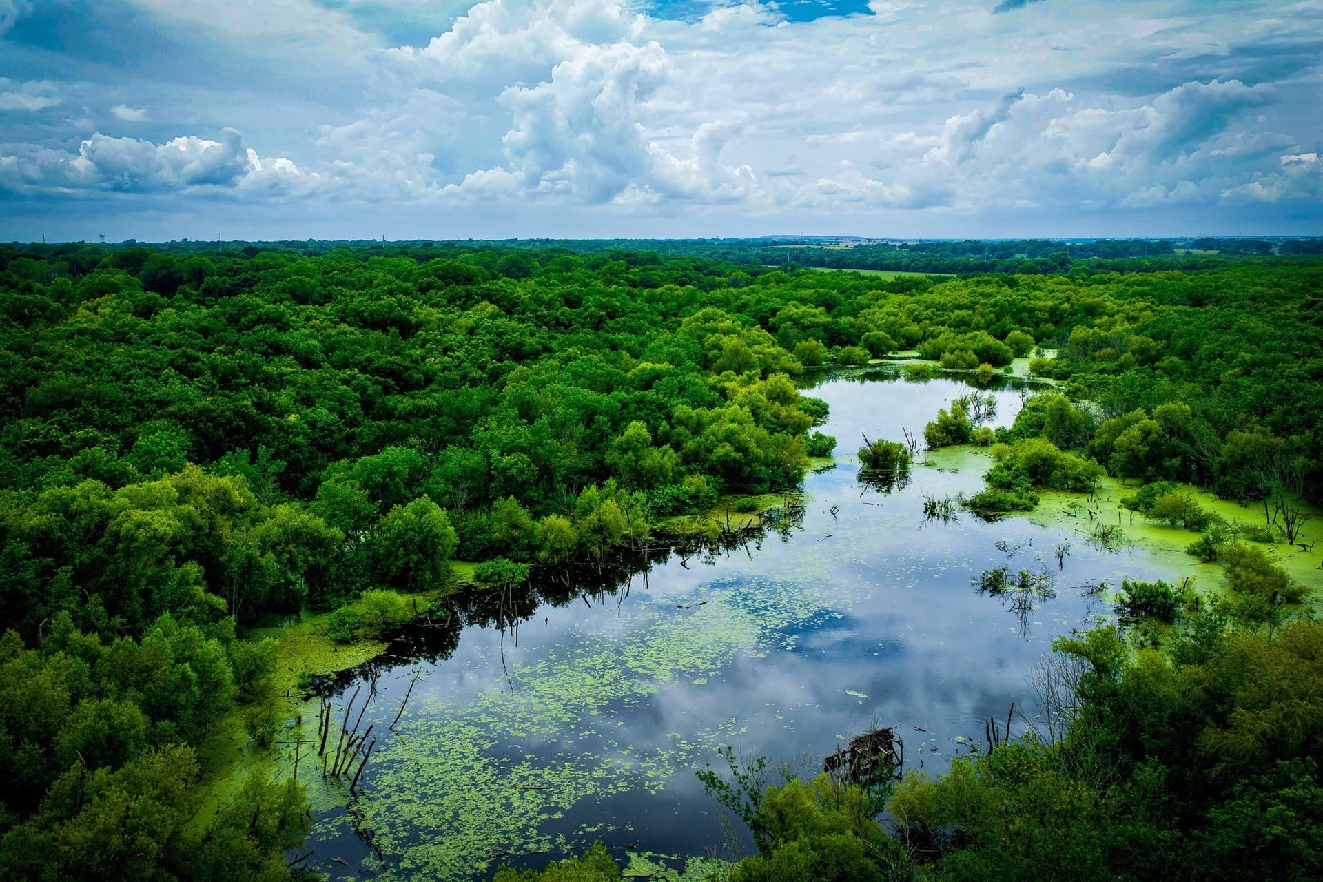 65 acres in Ellis County