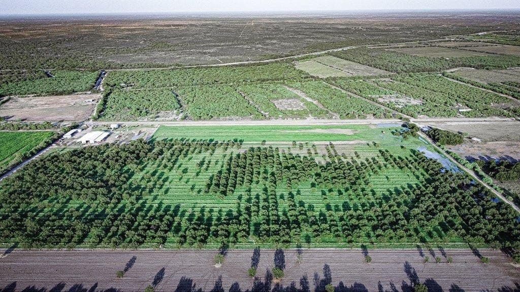 10 acres in Maverick County