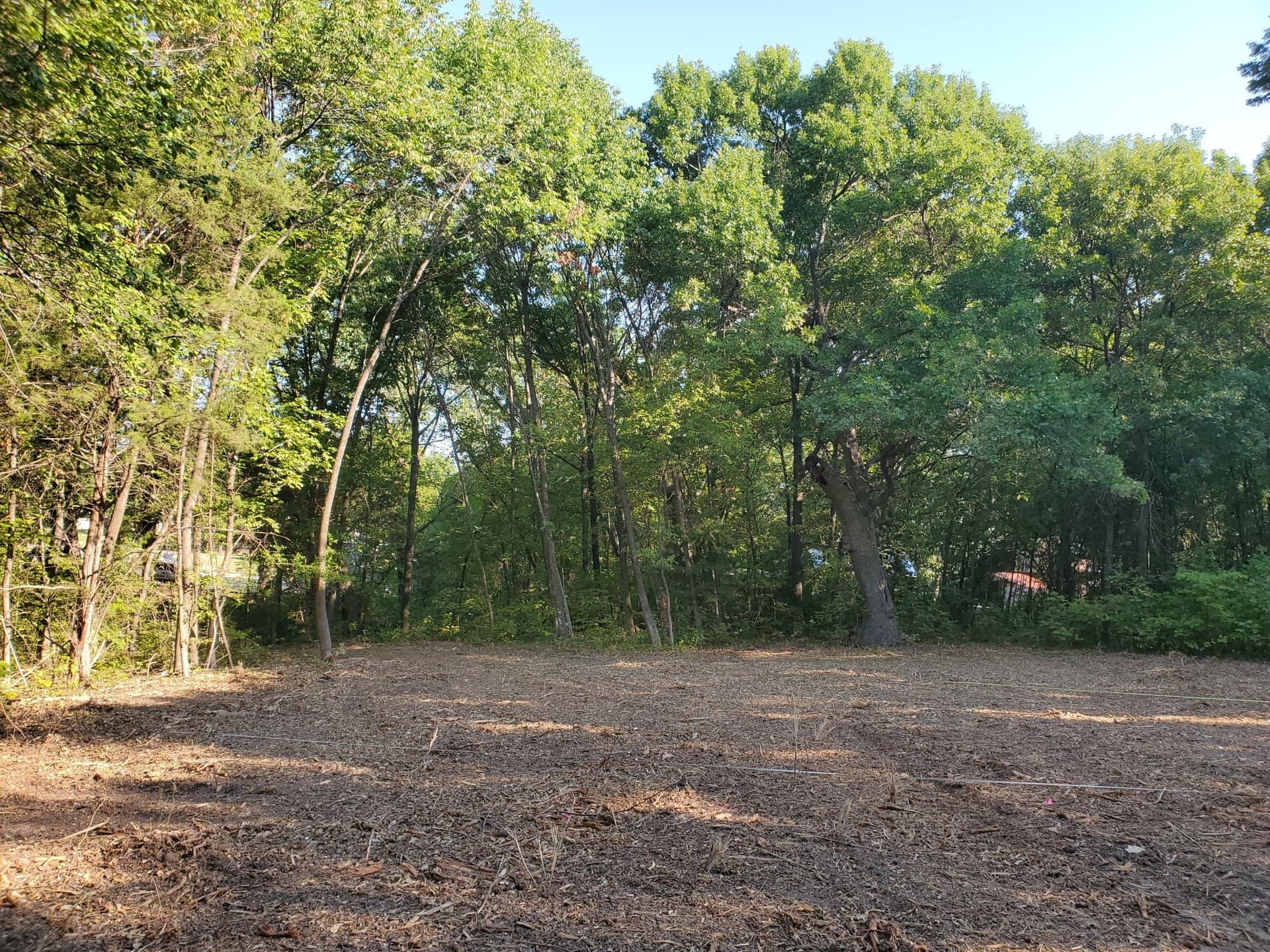 1.55 acres in Dallas County