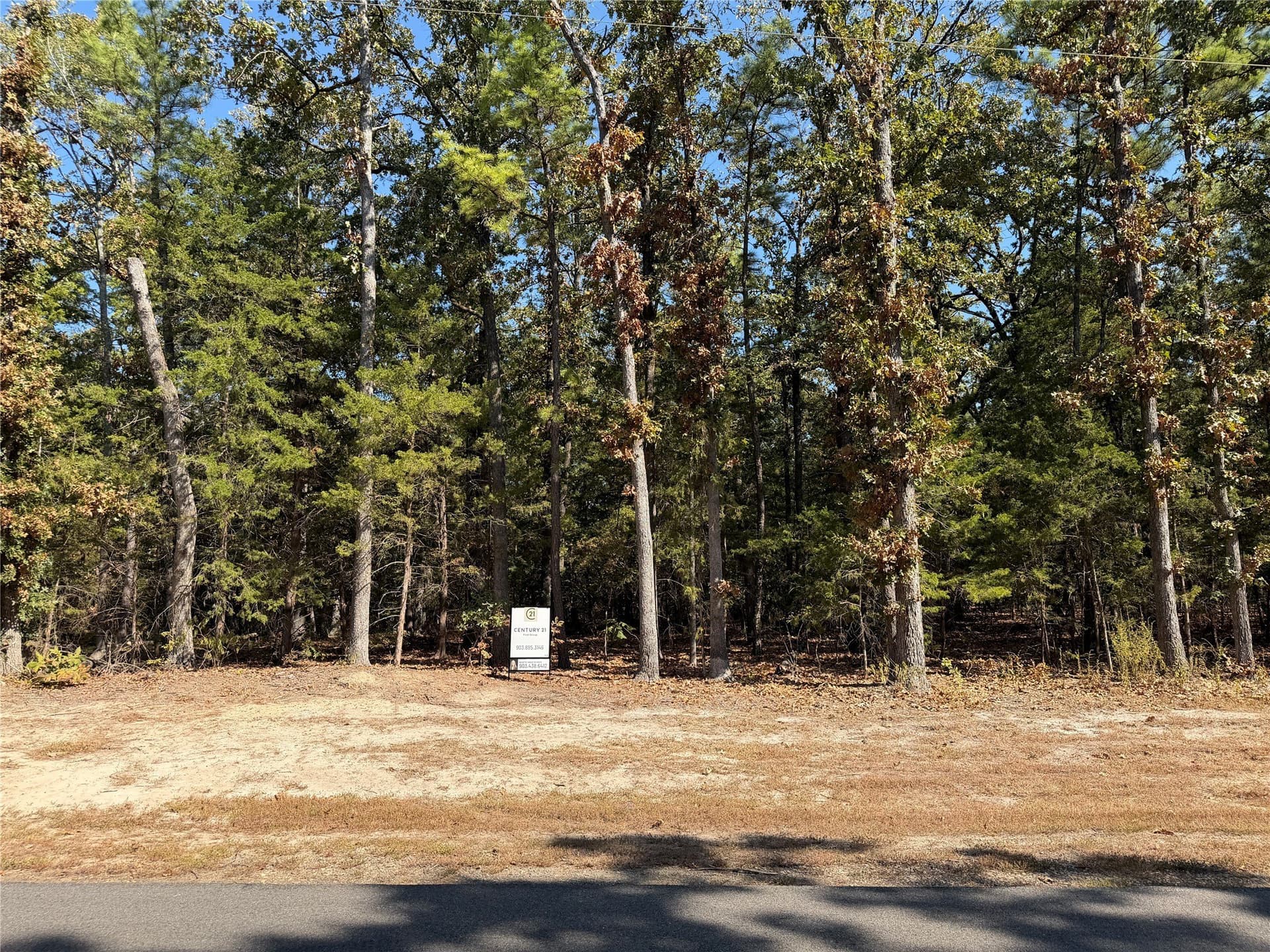 Whispering Pine Trail lot: 32