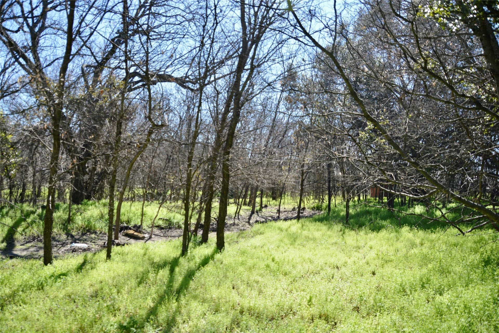 3 acres in Mills County