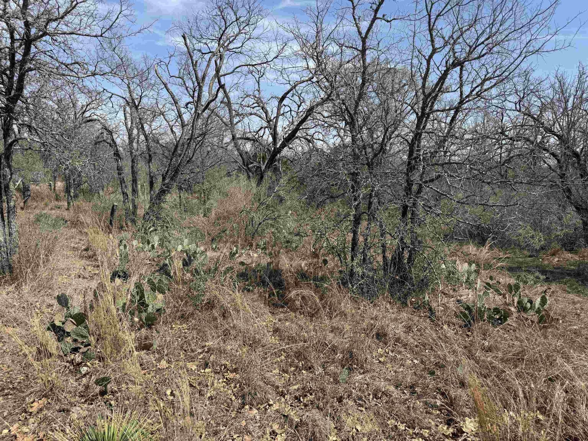 1.38 acres in Llano County