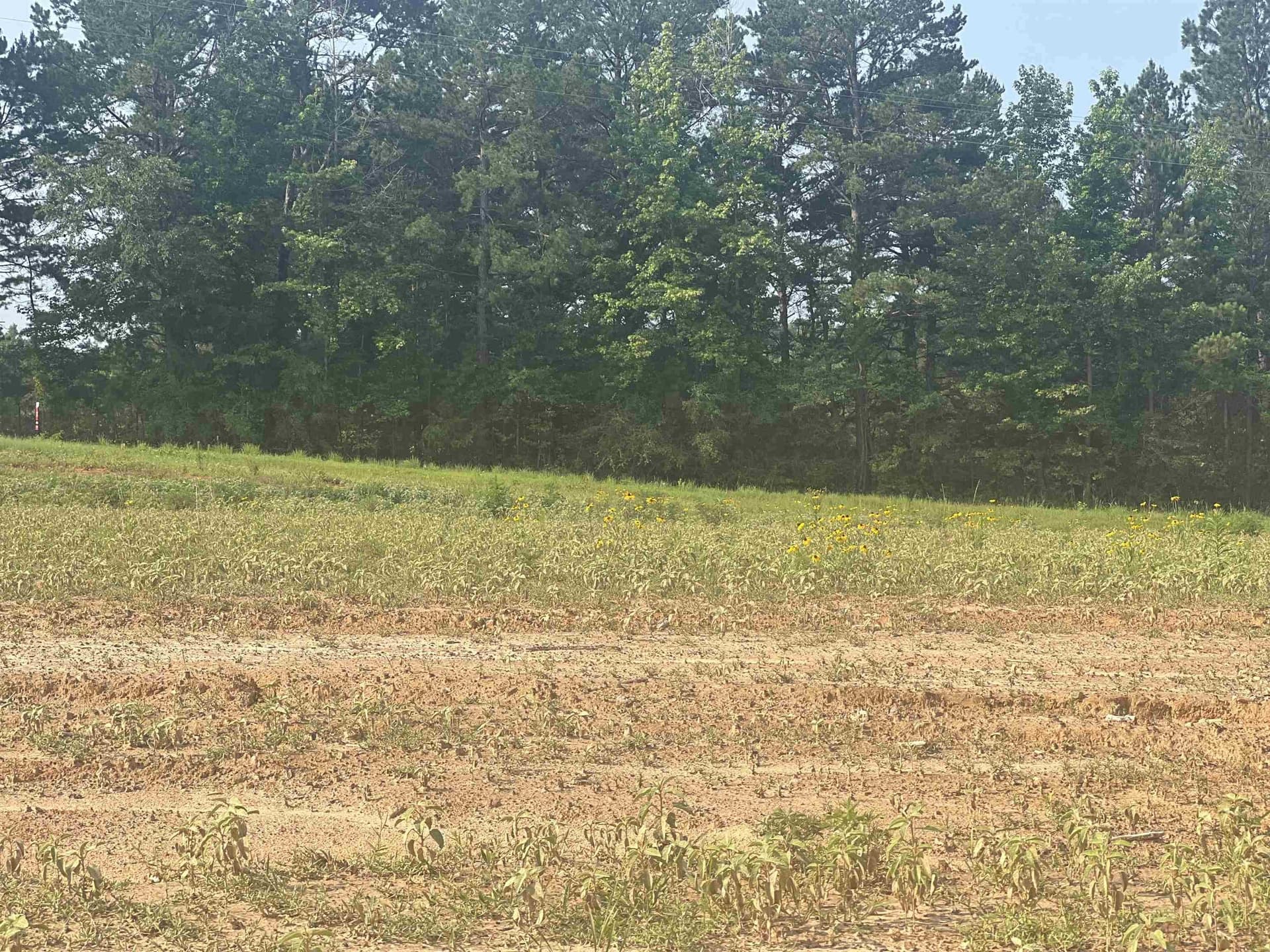 0.81 acres in Texas County