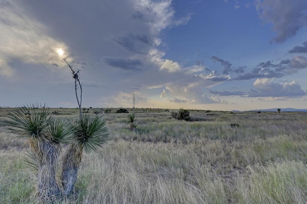 36.41 acres in Presidio County
