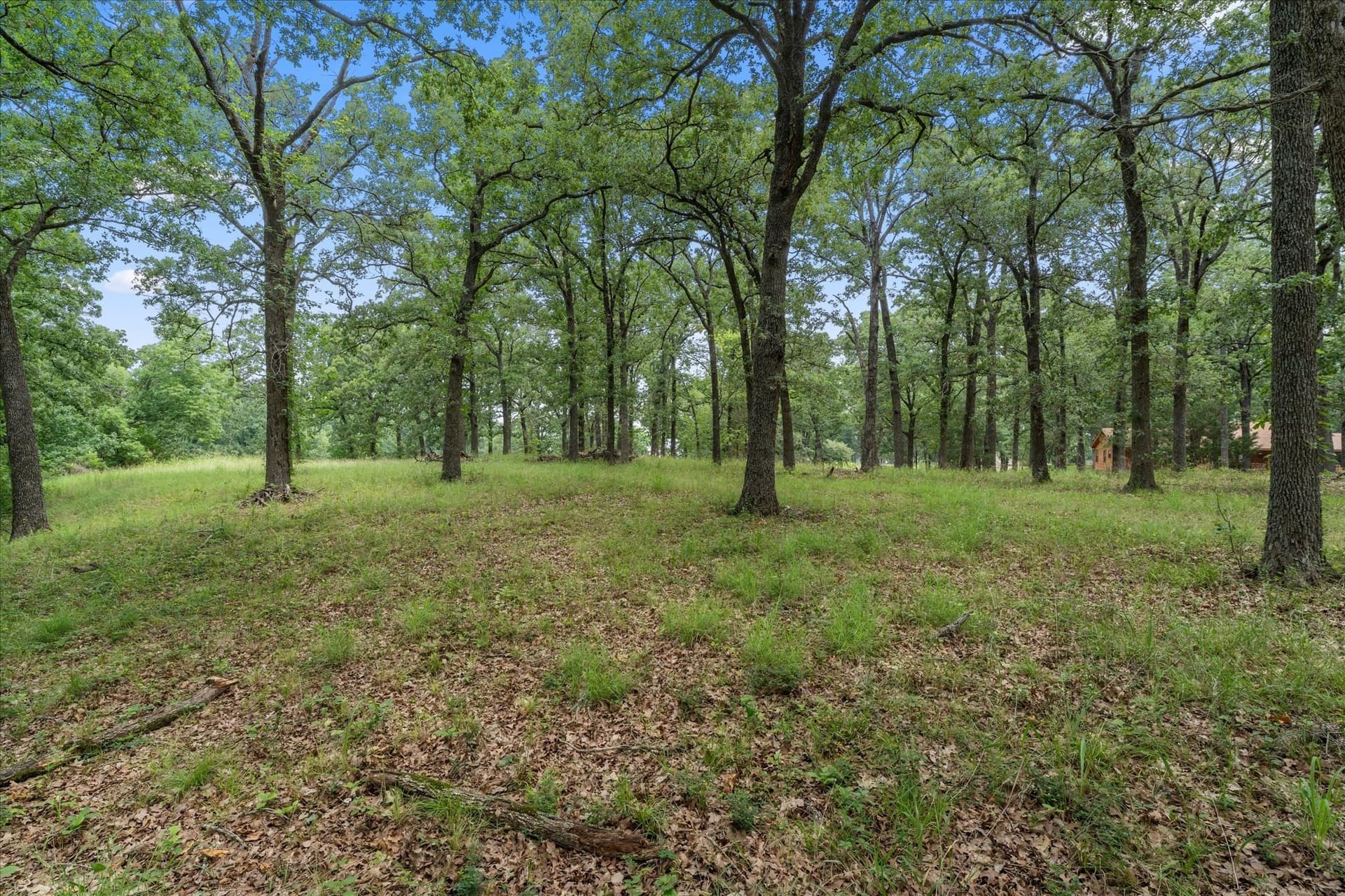 1.81 acres in Freestone County