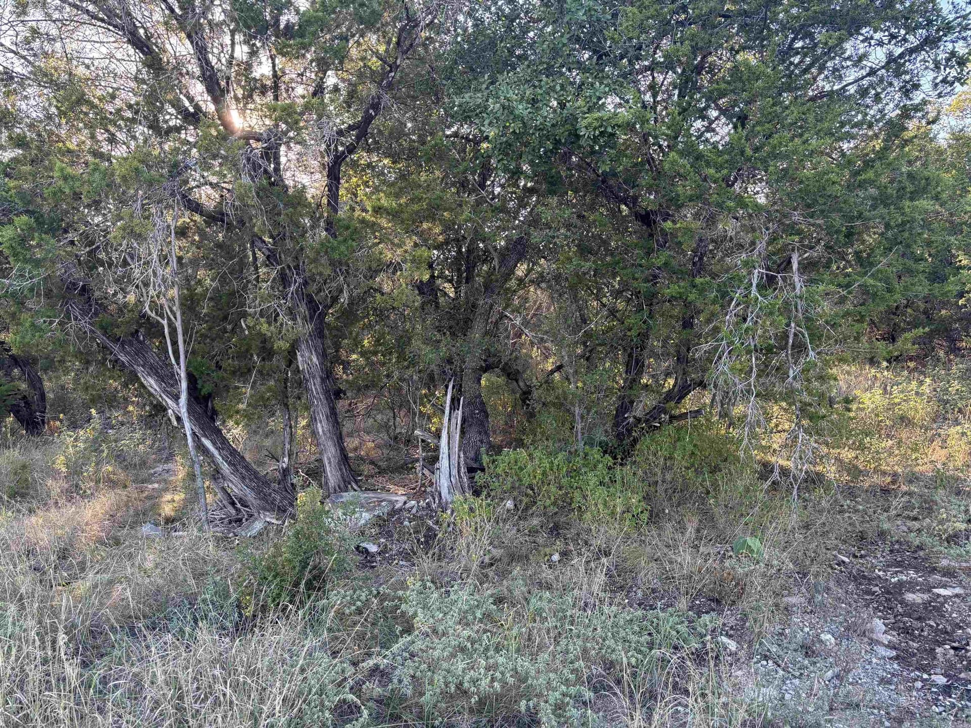 0.23 acres in Burnet County