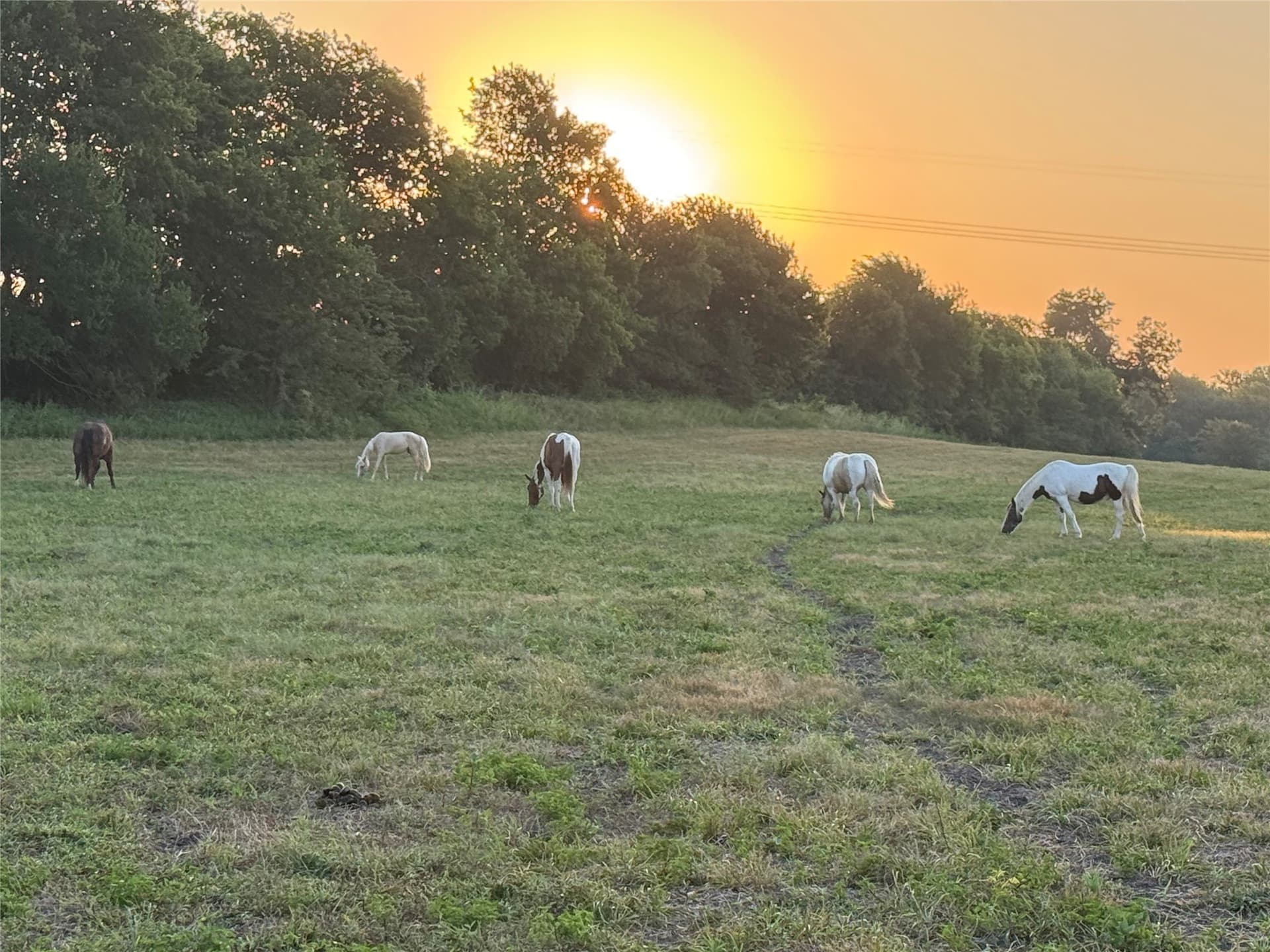 18 acres in Grayson County