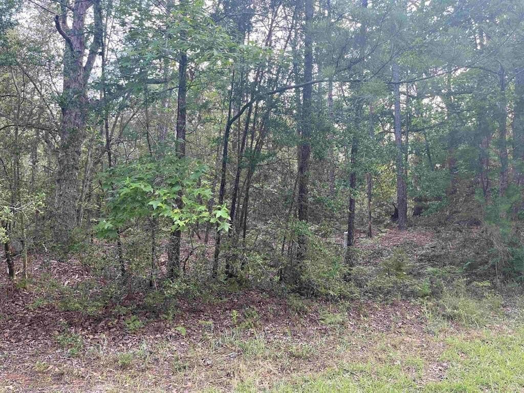 0.69 acres in Texas County