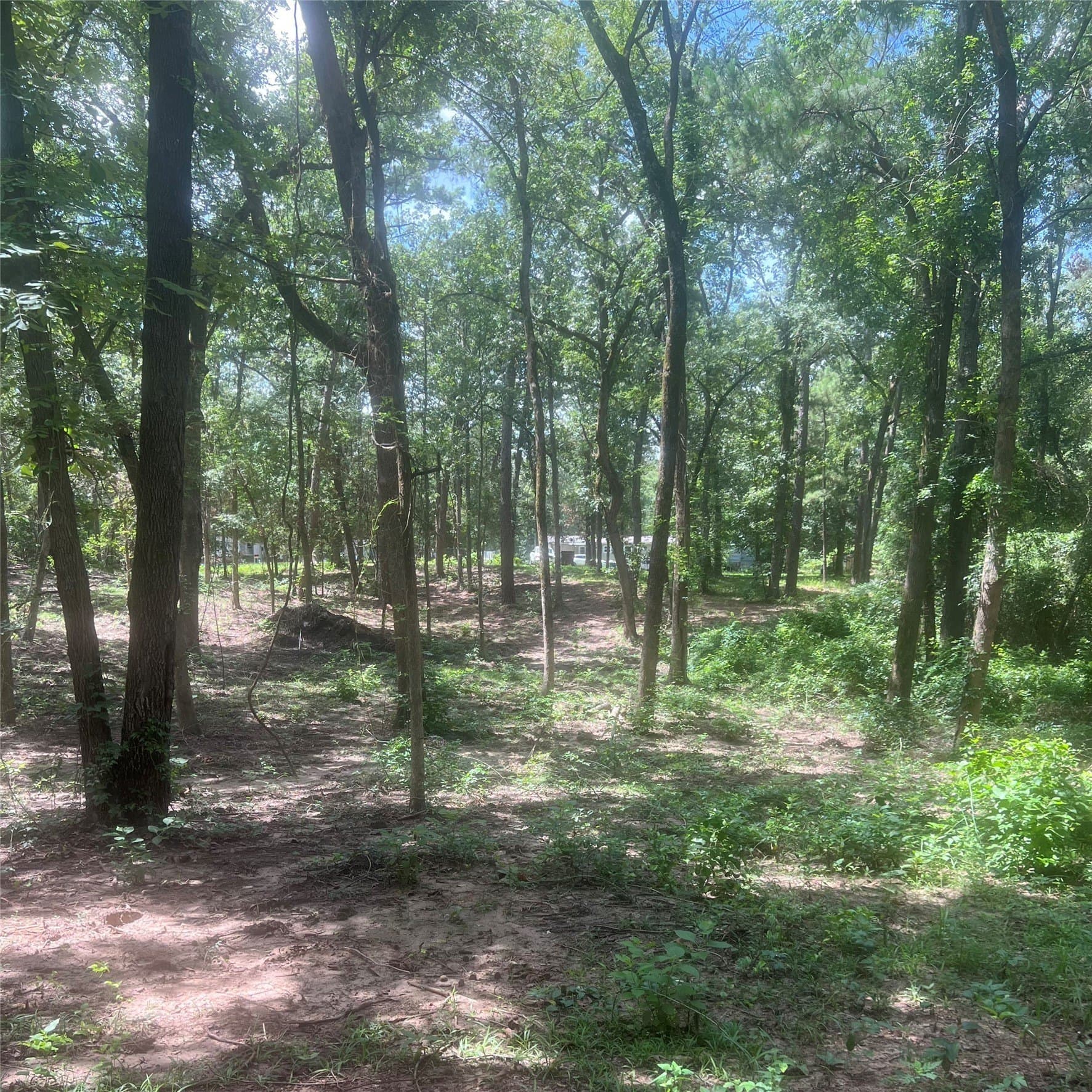 0.58 acres in Franklin (TX) County