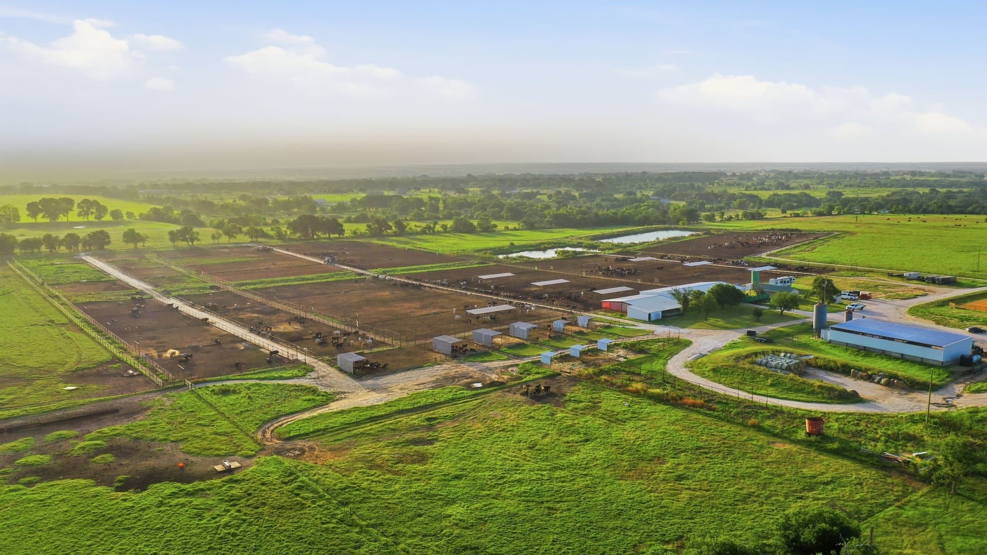 150.89 acres in Erath County