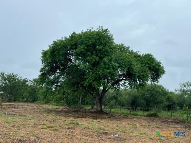 2.5 acres in Victoria County