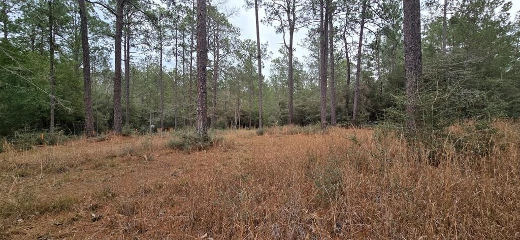 0.47 acres in Texas County