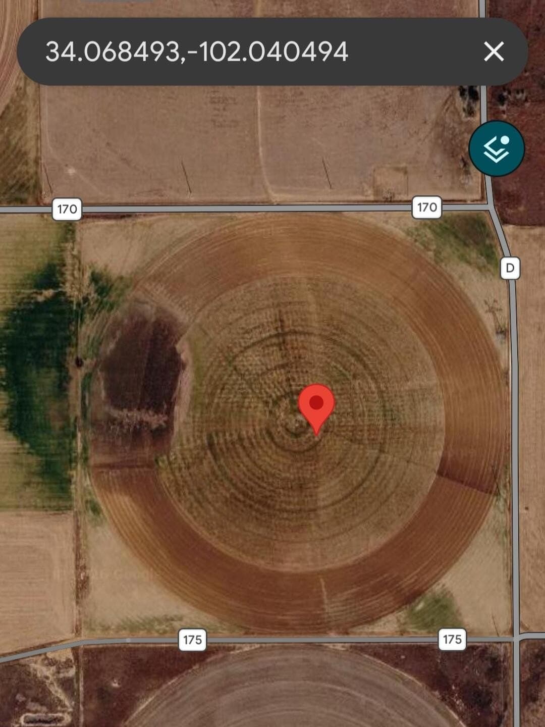 153.53 acres in Hale County