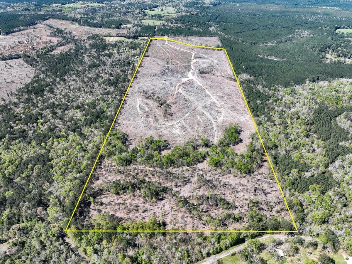 143 acres in Jasper County