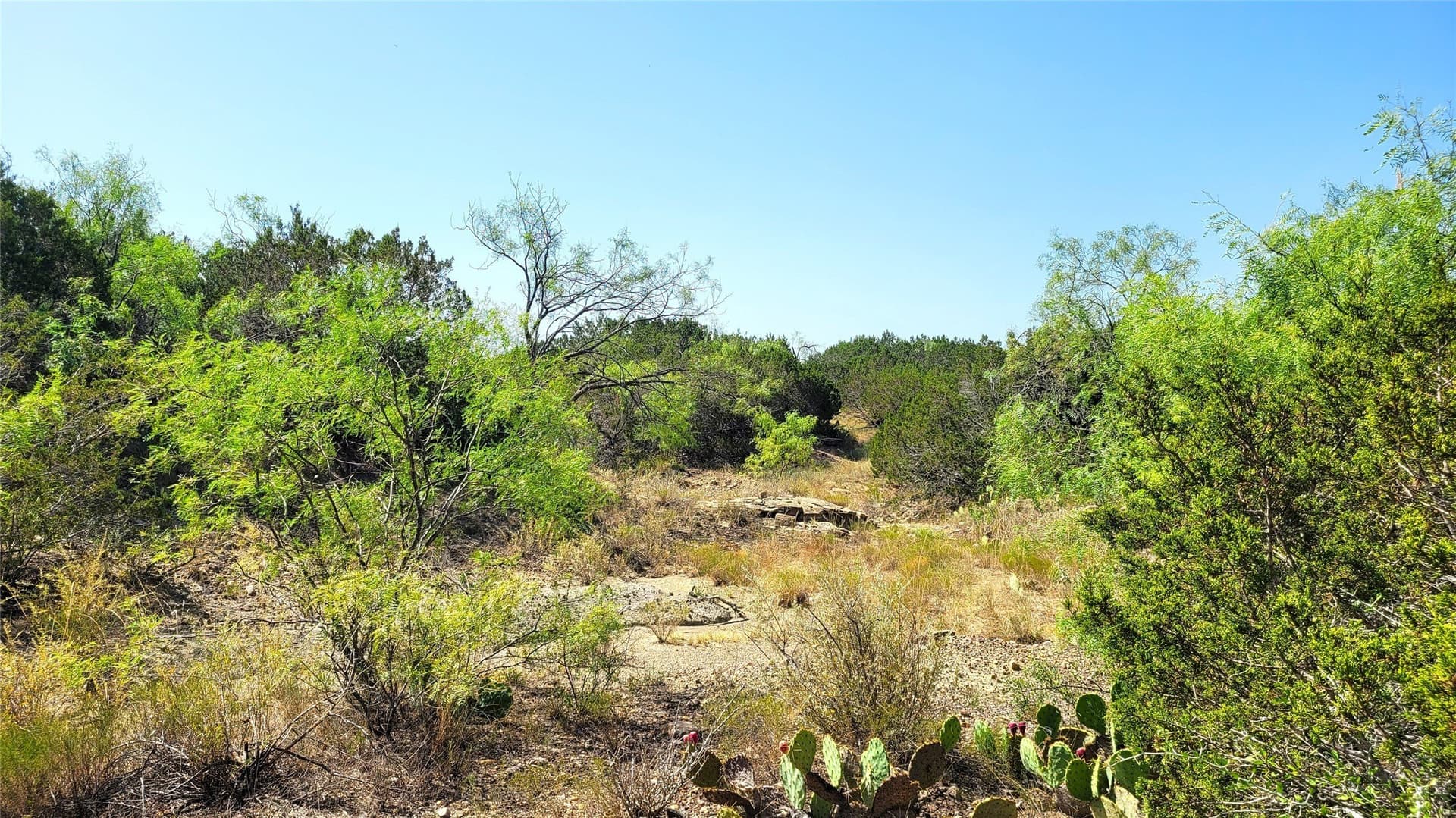 300 acres in Brown County