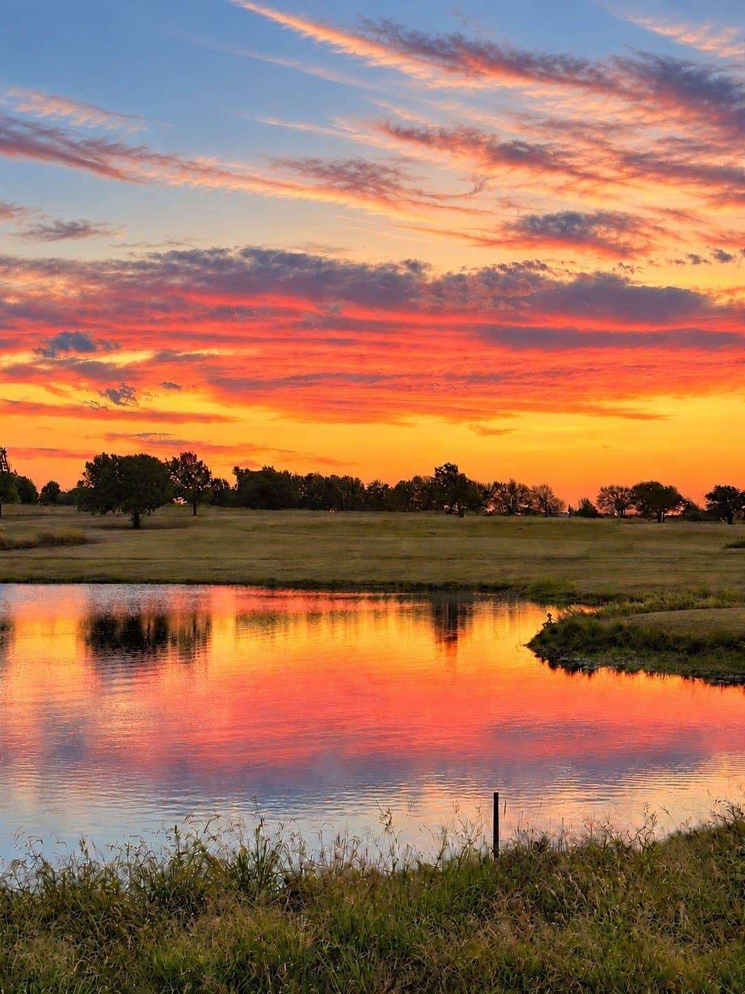 15.99 acres in Collin County