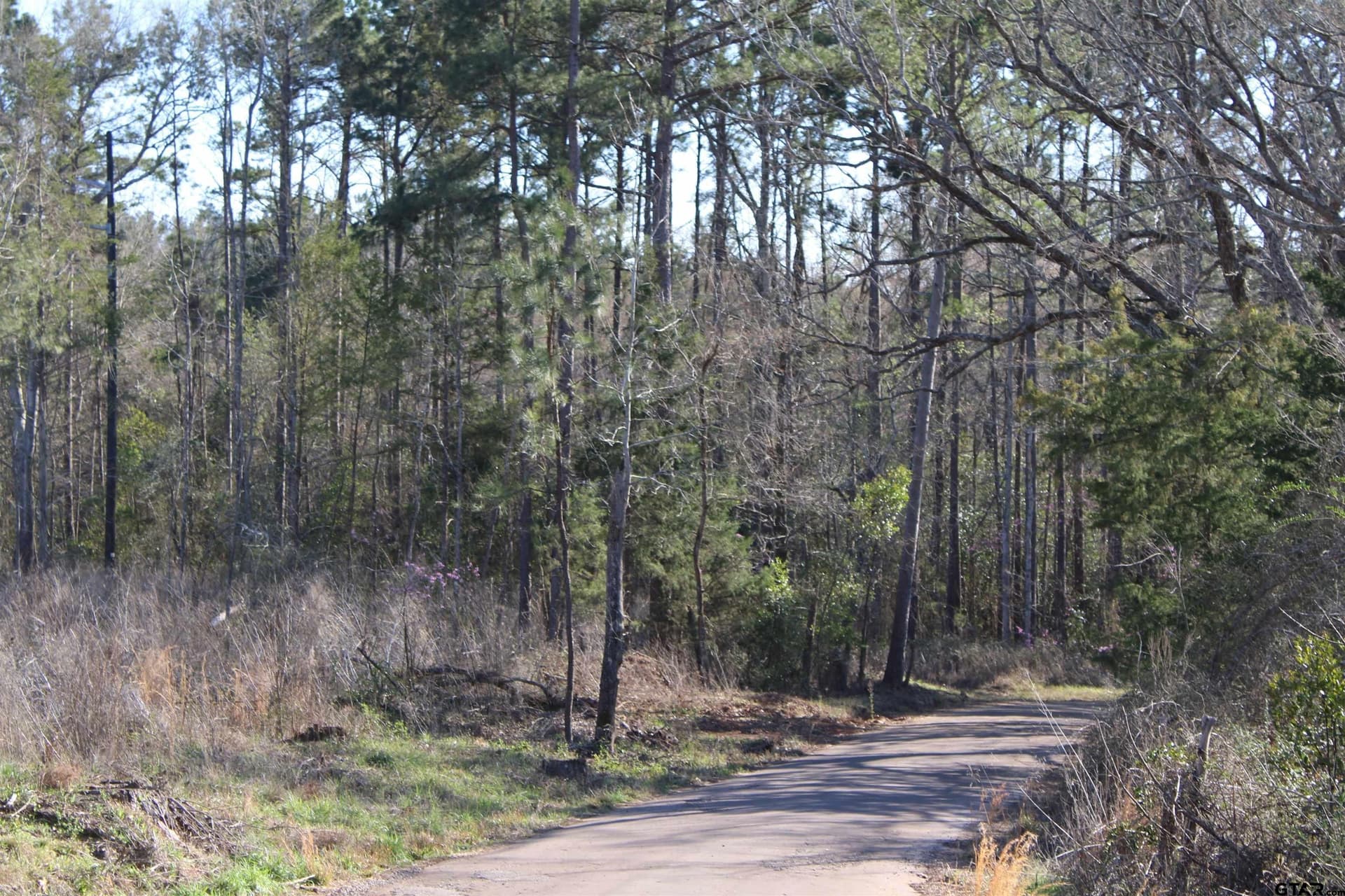 21 acres in Cherokee County