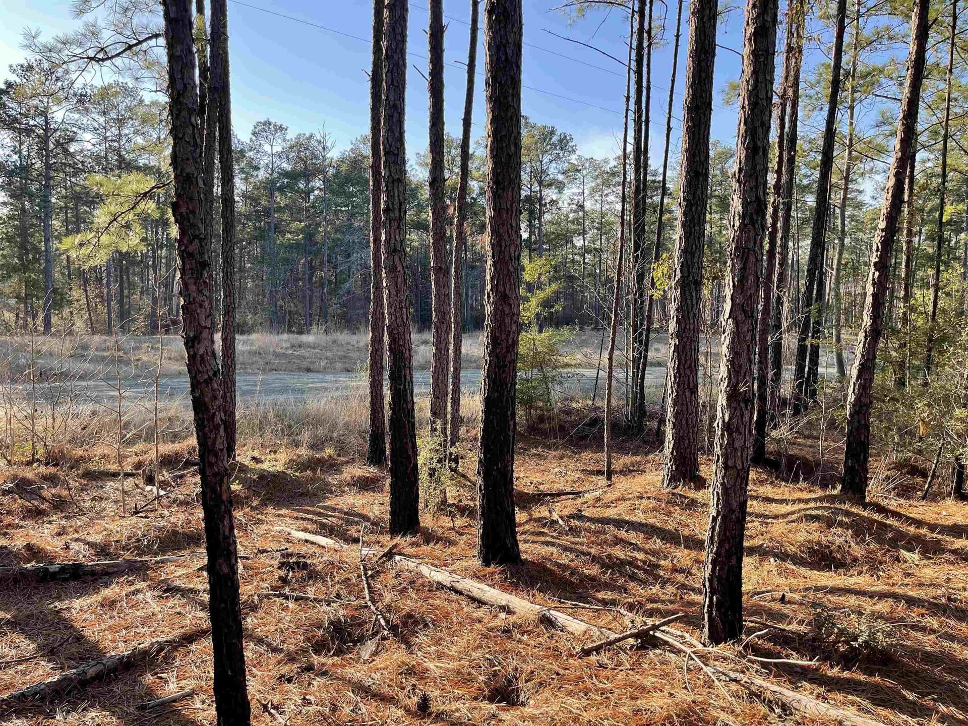 1 acres in Texas County