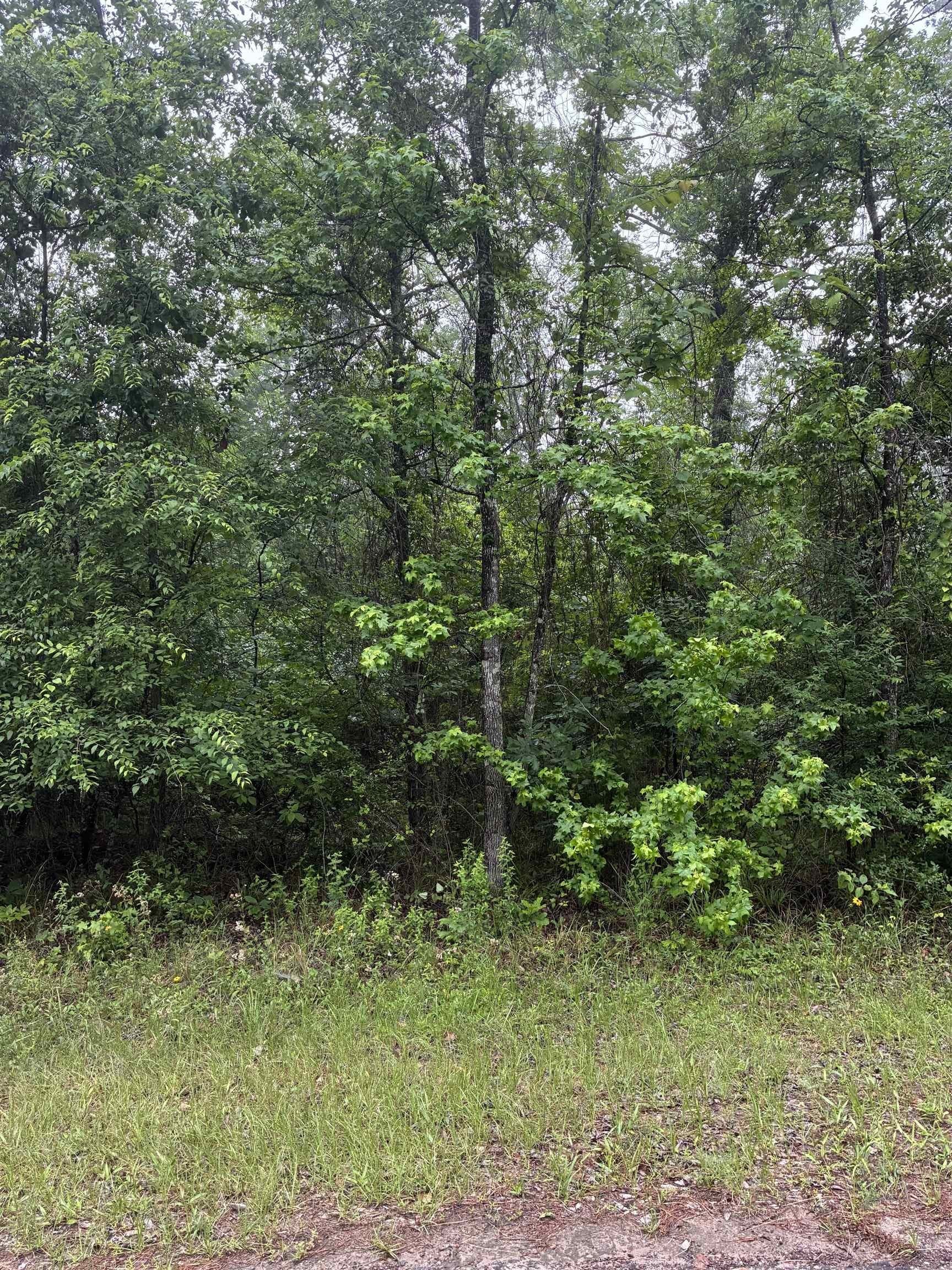 0.13 acres in Texas County