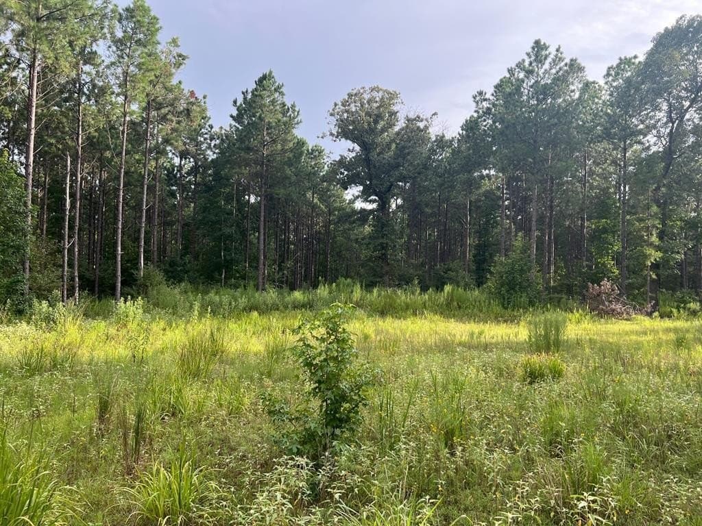 50 acres in ANDERSON County