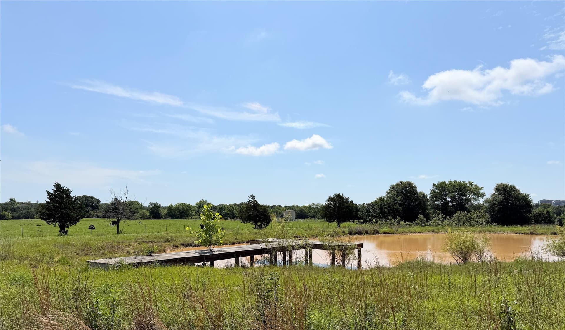 3 acres in Limestone County