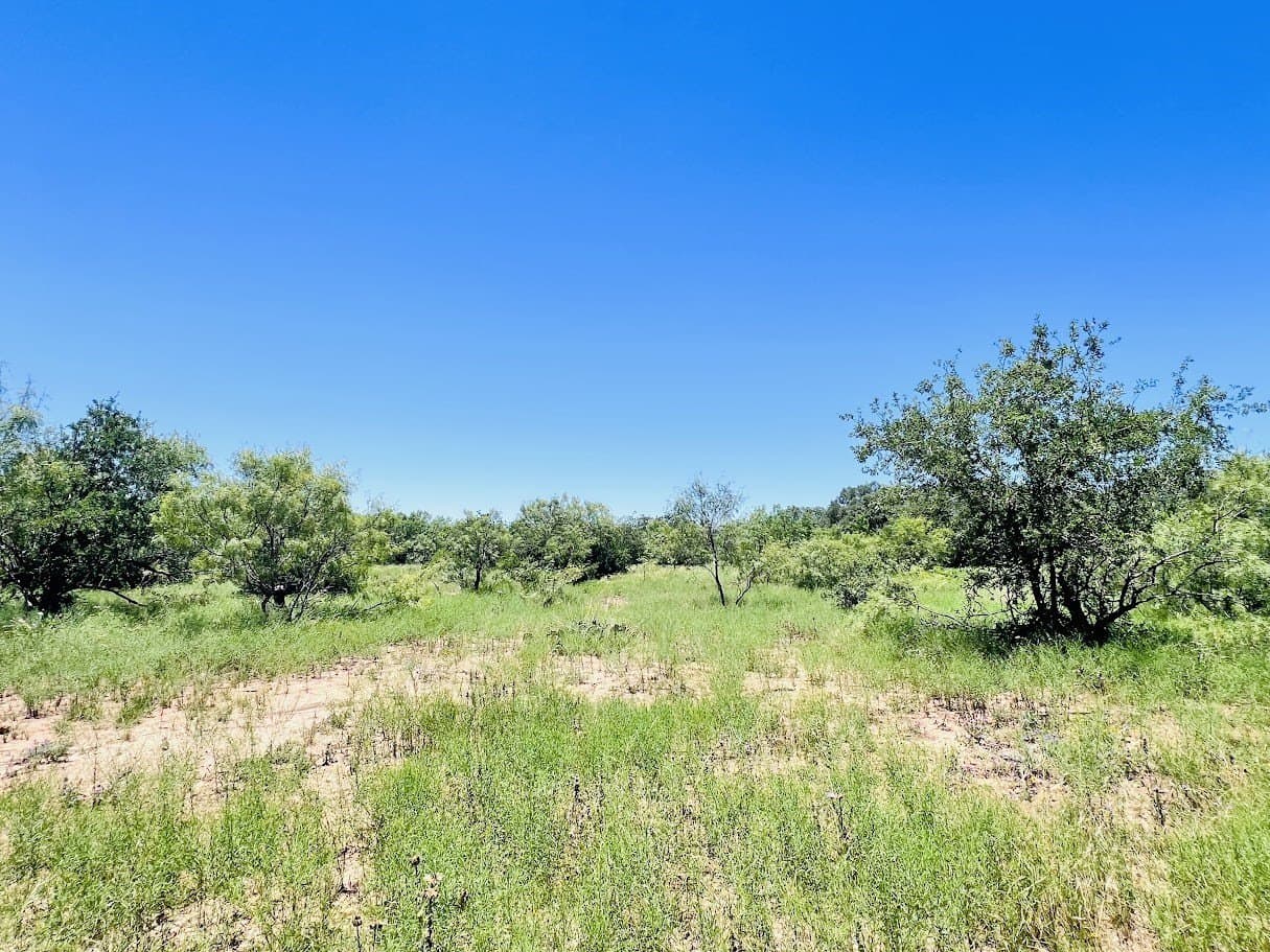 40 acres in Brown County
