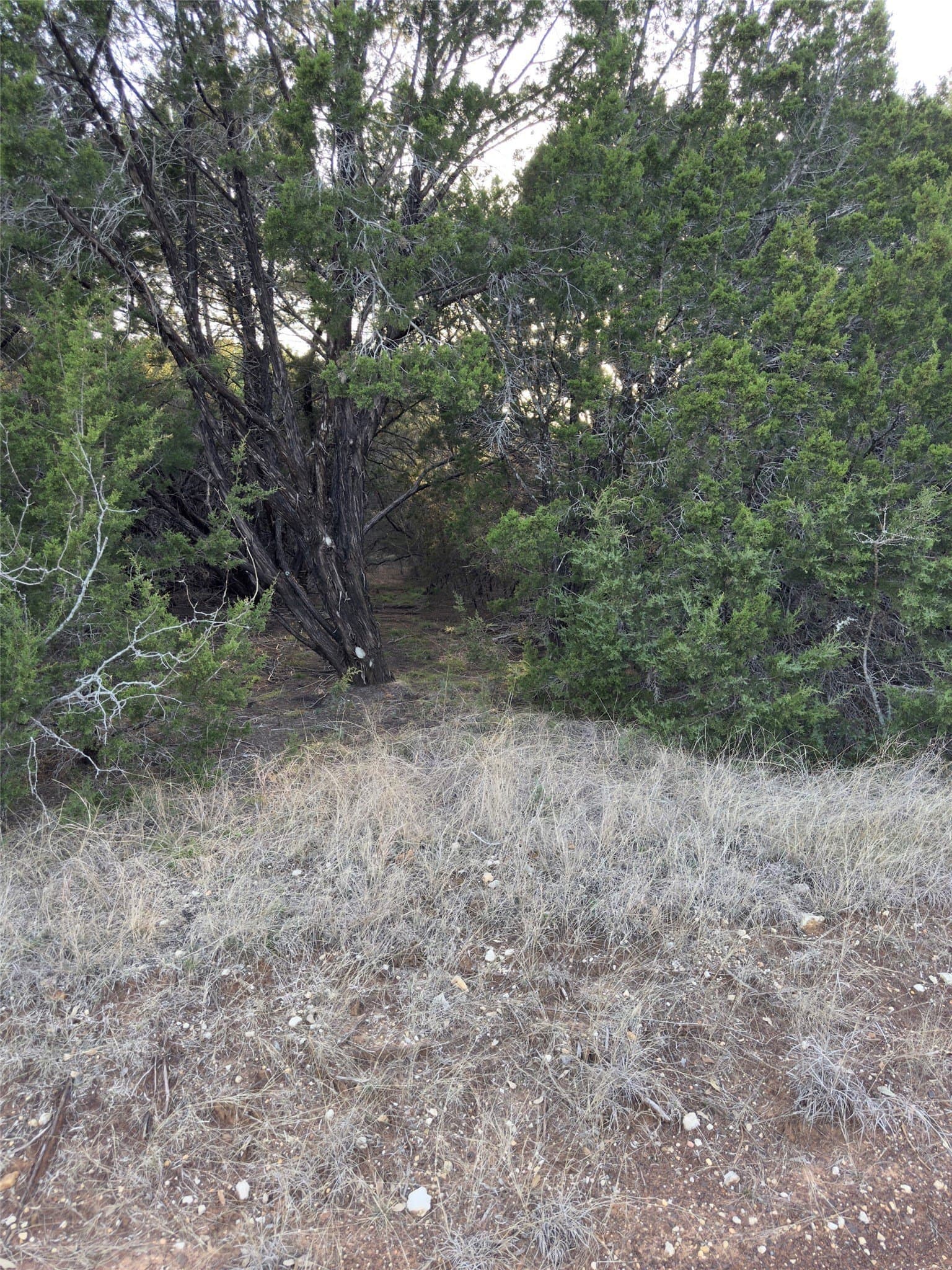 0.26 acres in Hill County