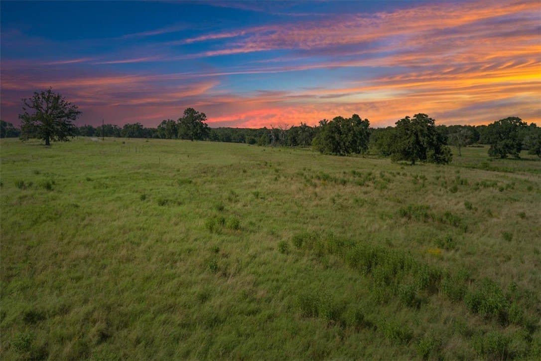 20.04 acres in Limestone County