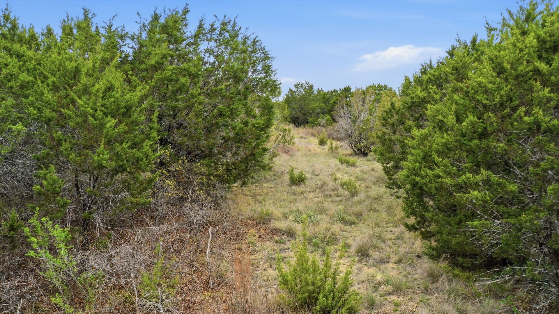 5.05 acres in Erath County
