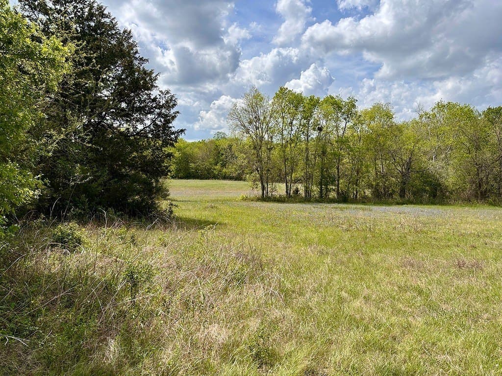 25 acres in Washington County